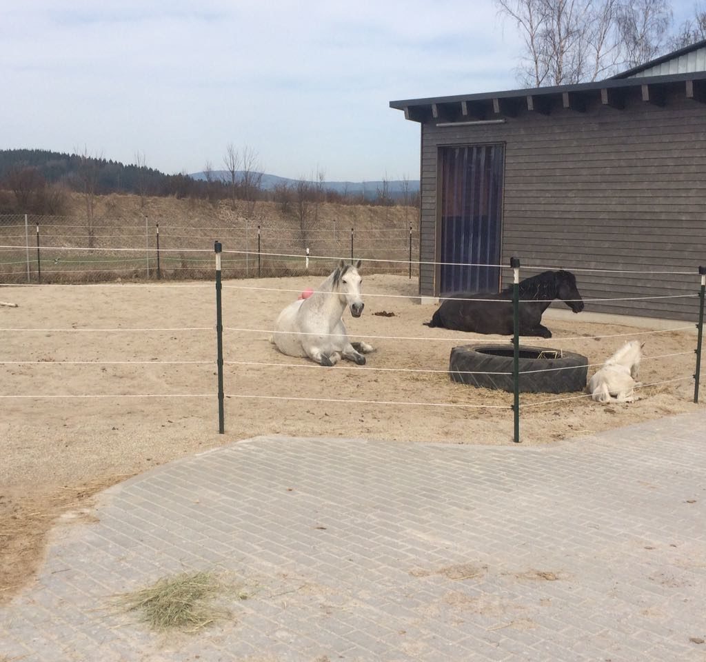 IMG 20180409 WA0004