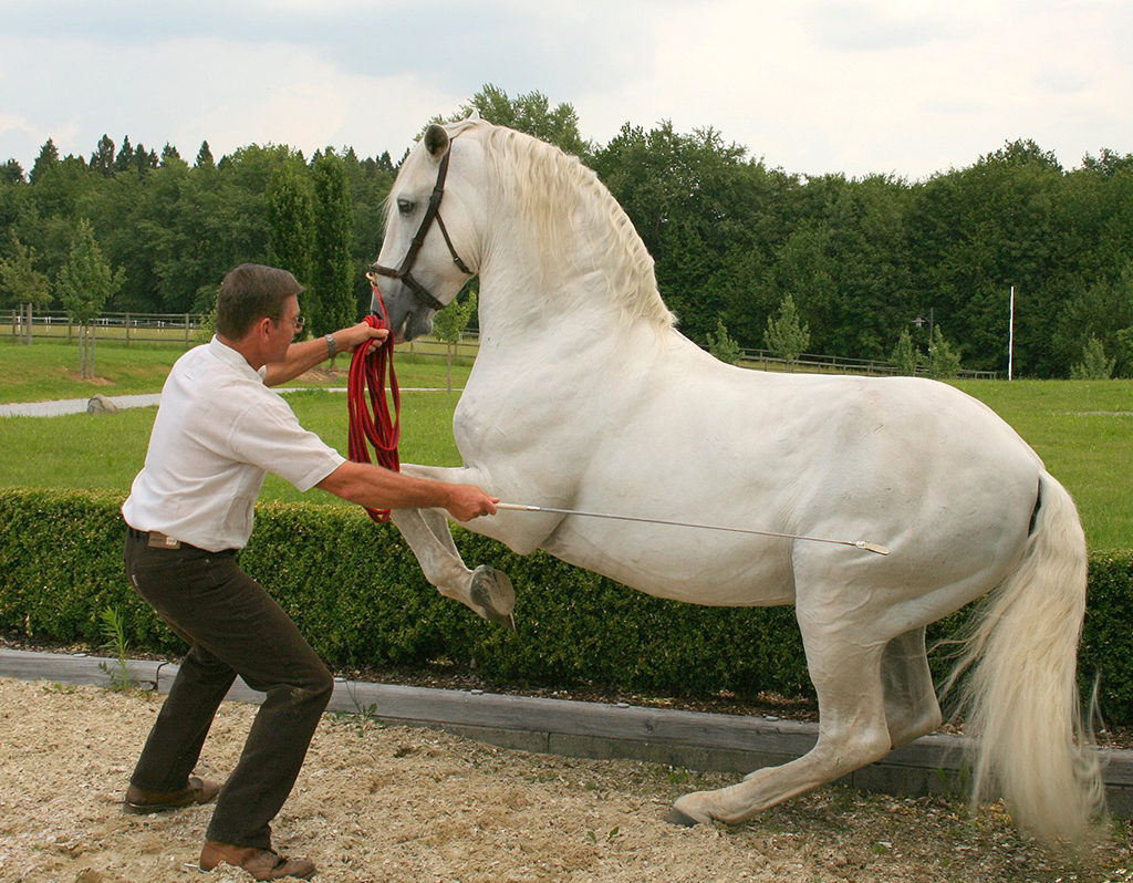 Seminar Mit Marc De Broissia