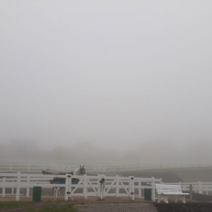 CD Nebel2