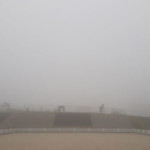 CD Nebel3